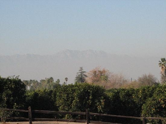 California Citrus State Historic Park-里弗赛德必去景点