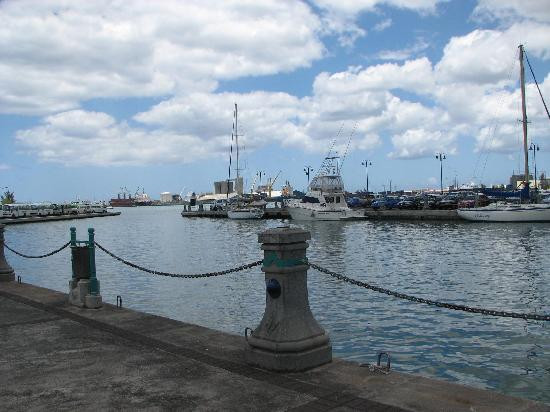 Easy Dive Mauritius-莫纳山必去景点