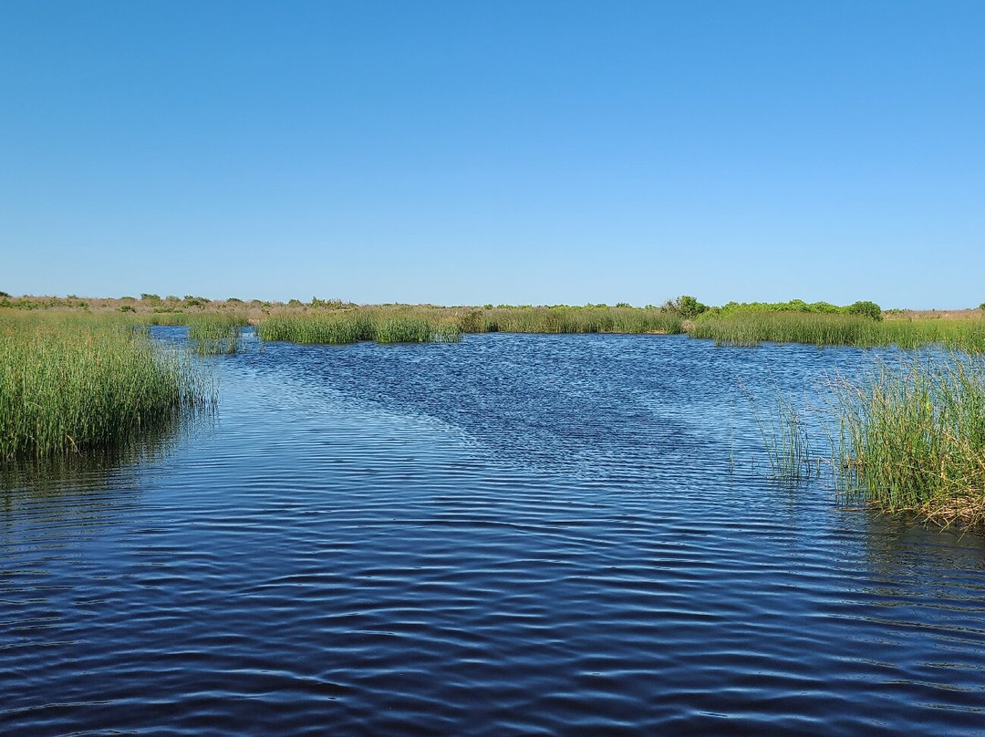 Brazoria National Wildlife Refuge-Freeport必去景点