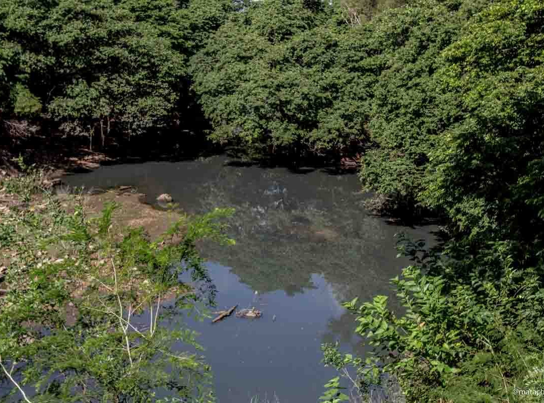 Ponte sobre rio dos Sinos.-Campo Bom必去景点