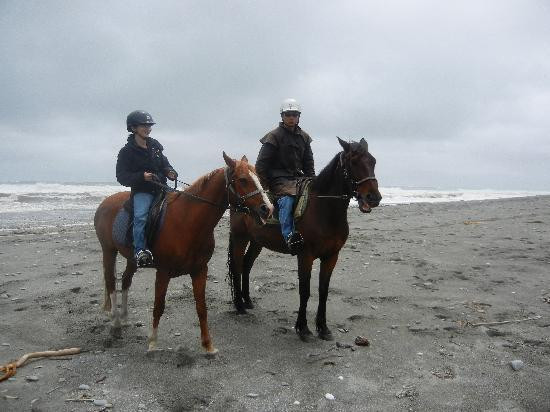 Punakaiki Horse Treks景点图片