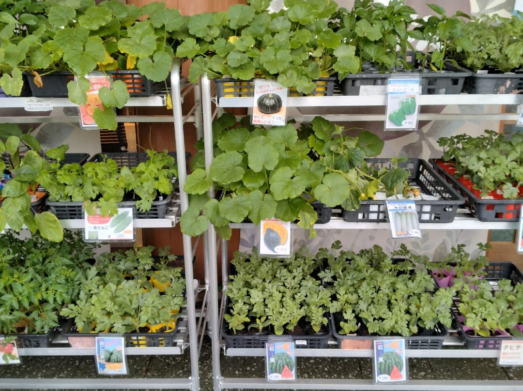 Okukumano Kodo Hongu Michi-no-Eki-田边市必去景点