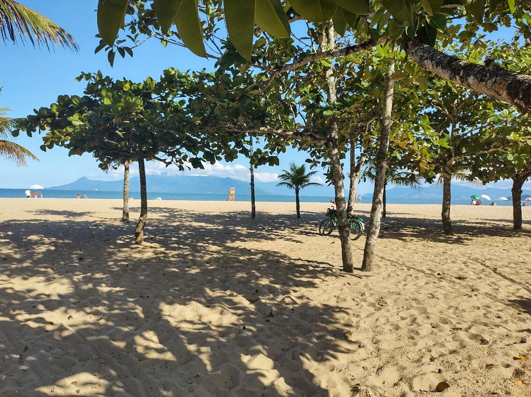 Praia da Cocanha景点图片