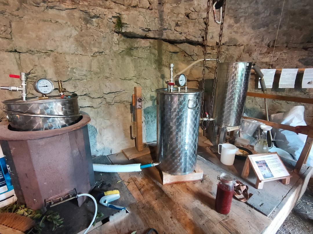 Distillerie du Bois de Paiolive-Banne必去景点