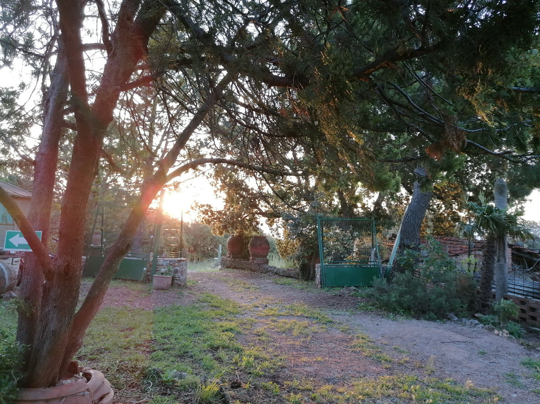Agriturismo Regina主图