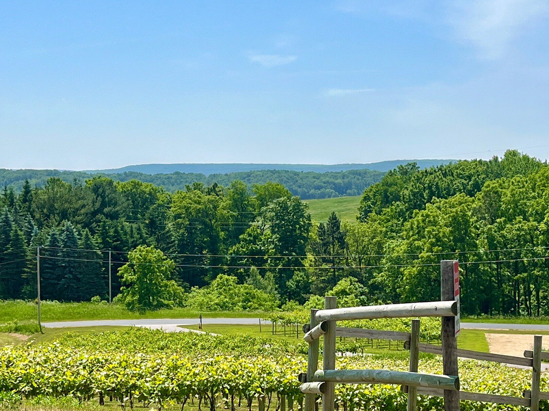 Baraboo Bluff Winery-巴拉布必去景点