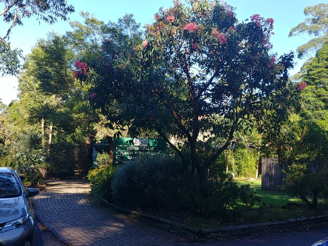 Cumberland State Forest景点图片