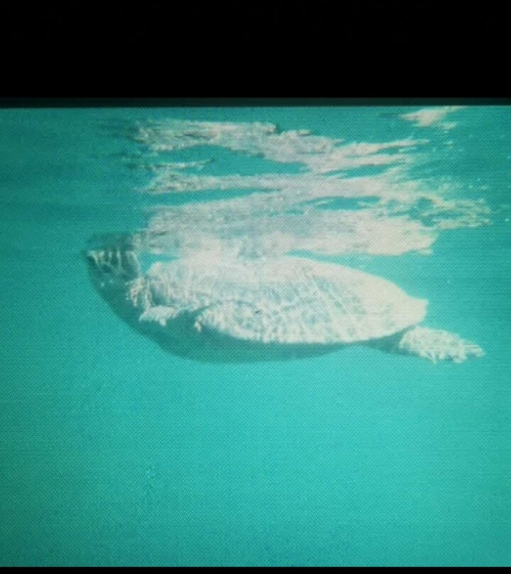 Marina View Port Ghalib主图