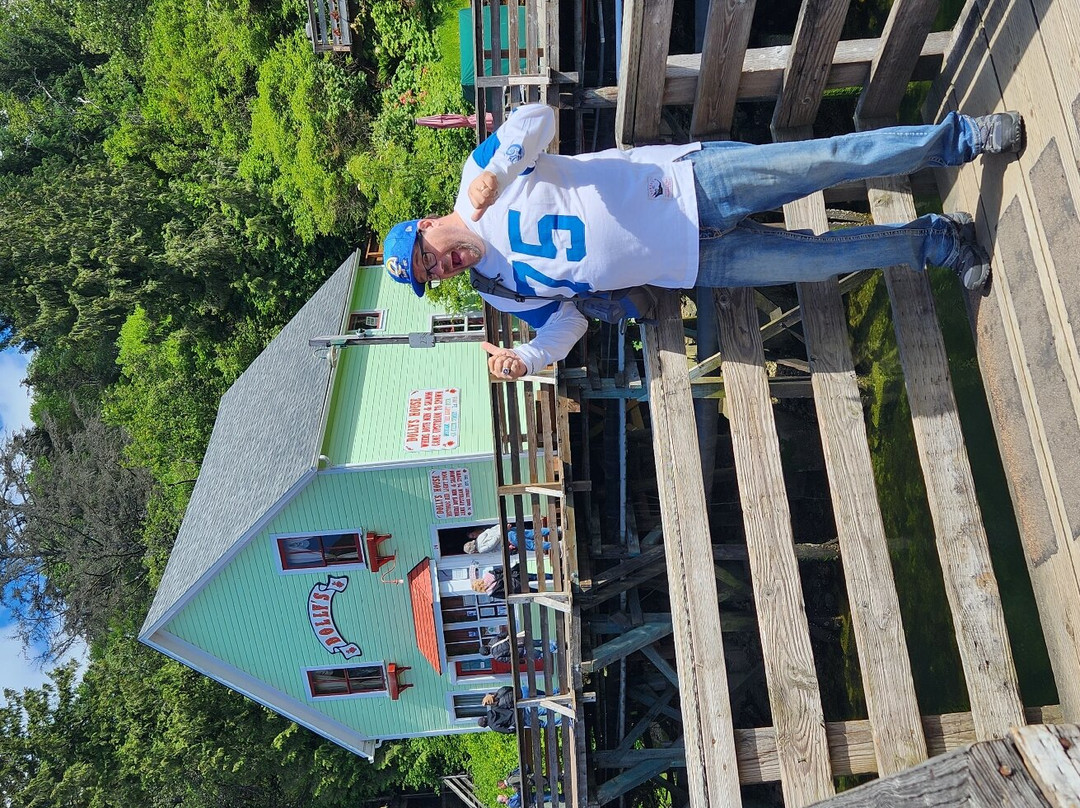 Dolly's House Museum-凯奇坎必去景点