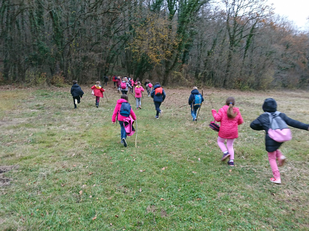 Le Marais D'andryes-Andryes必去景点