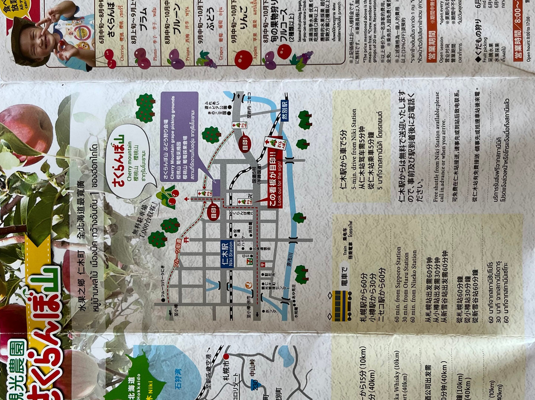 Sakuranboyama Kanko Firm-仁木町必去景点