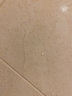 Hampton Inn & Suites Childress主图