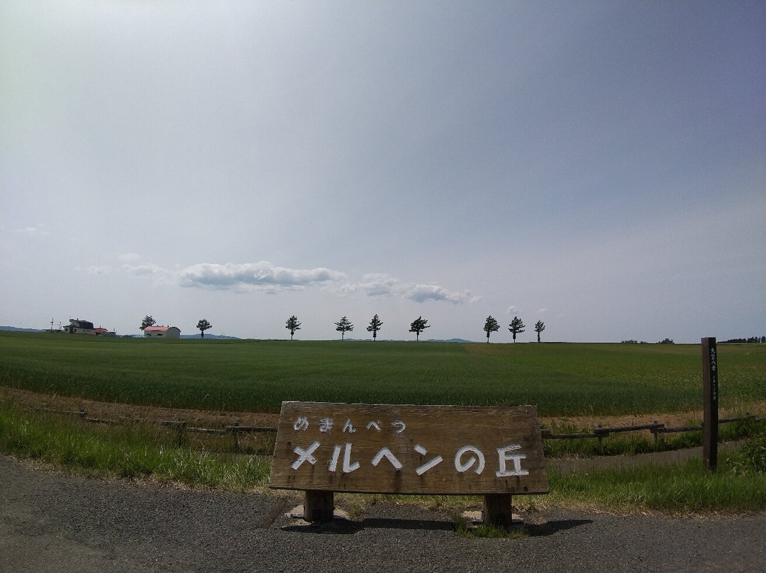 Marchen no Oka-大空町必去景点