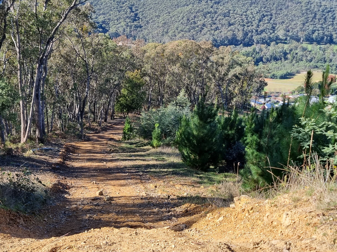 Huggins Lookout-布赖特必去景点