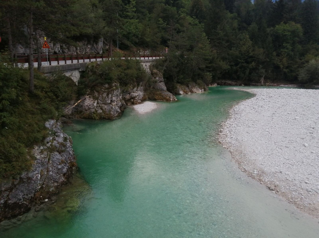 Povici beach景点图片