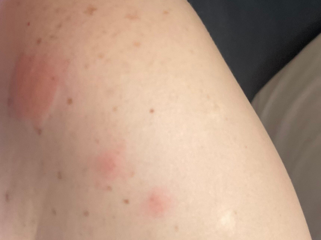 Johnny's Motel主图