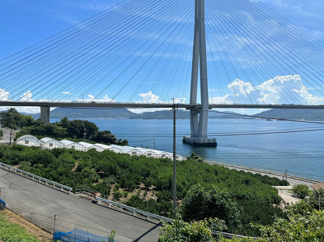 Tatara Bridge-尾道市必去景点