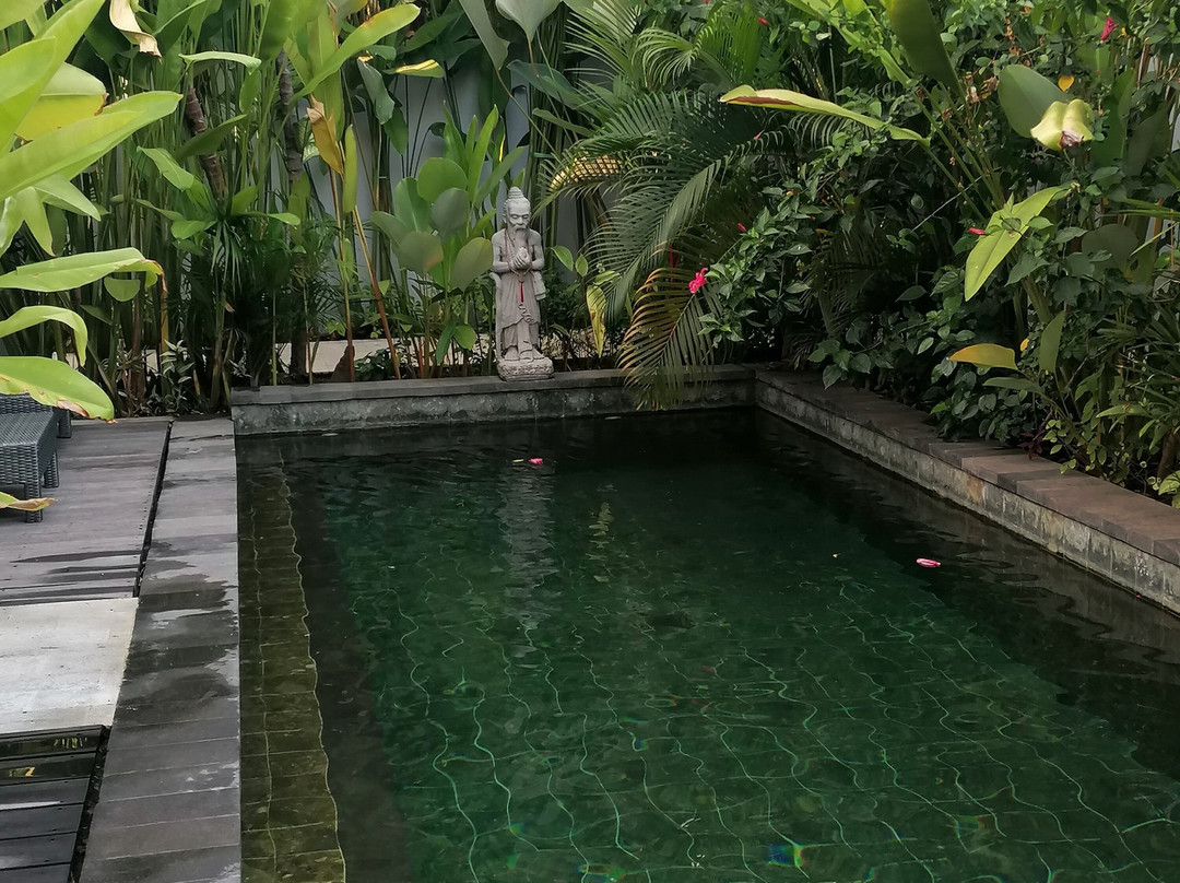 Le Chien Rouge主图