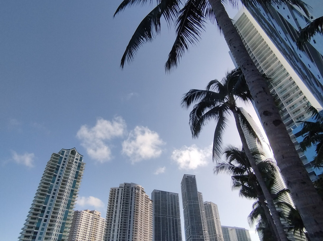 Miami Beach Marina景点图片
