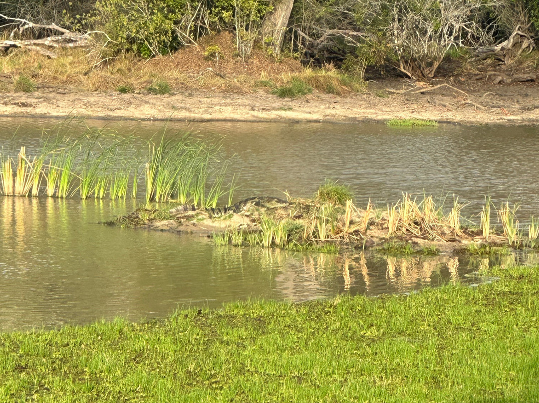 Punsisi jeep service and restaurants-Nochchiyagama必去景点