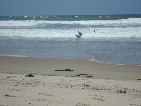 Pacific Surf School-圣地亚哥必去景点