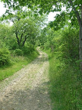 Wells Reserve at Laudholm-韦尔斯必去景点