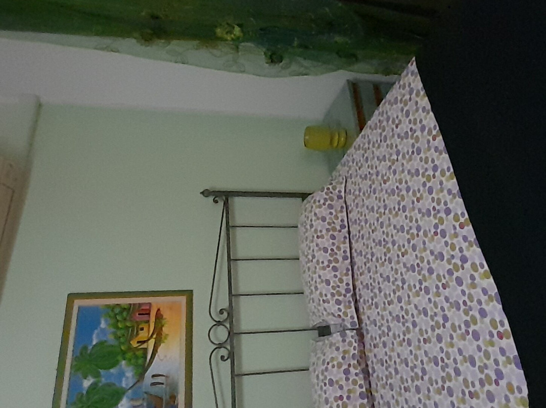 B&B La Finestra sul Cortile主图