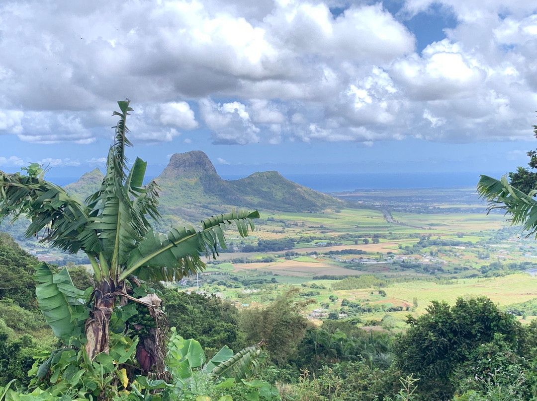 Nature Trails Mauritius景点图片