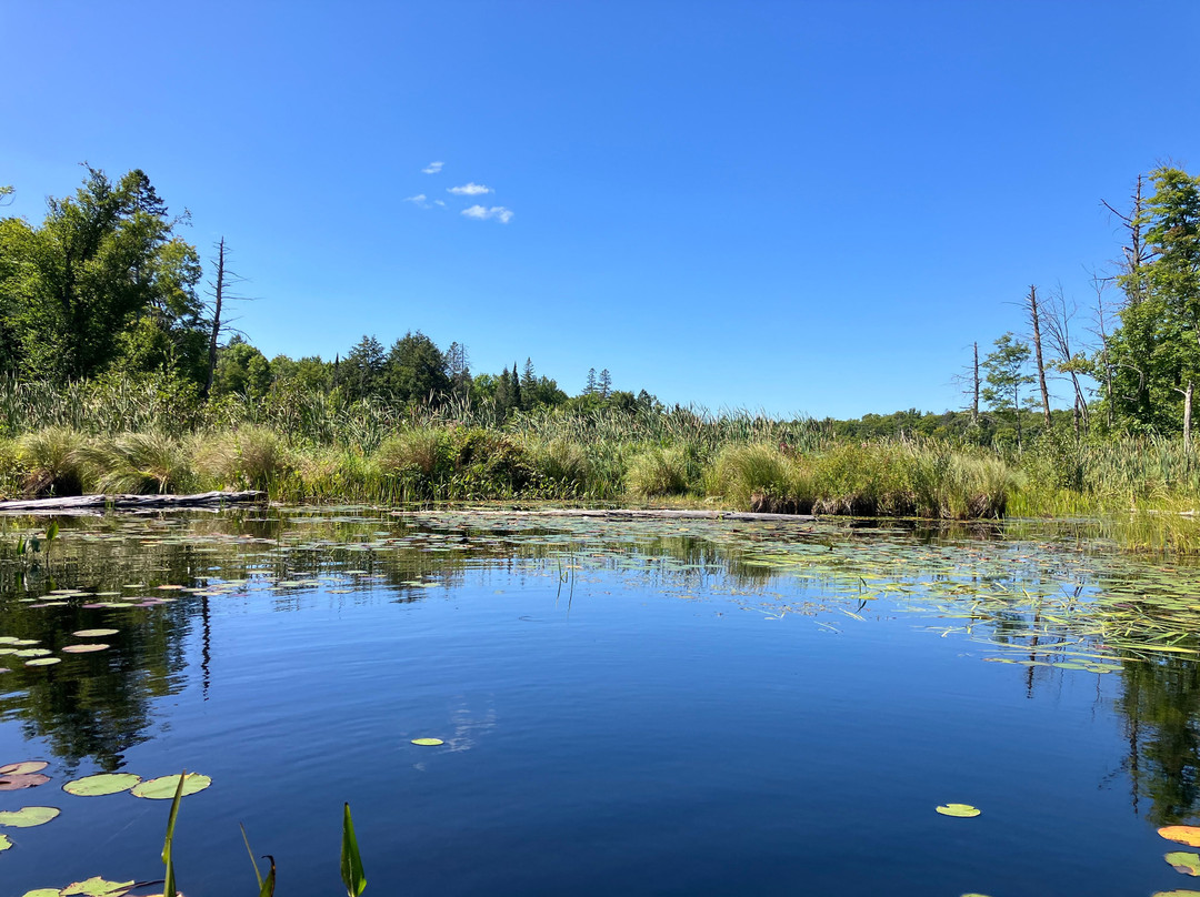 Bain Lake Camp