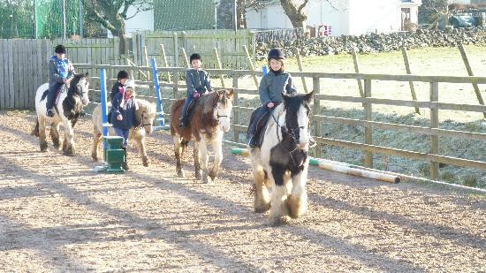 Croagh Patrick Stables-Murrisk必去景点