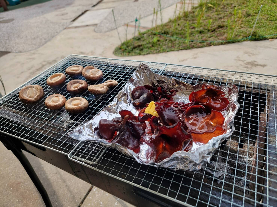 Sakurakinokoen-佐仓市必去景点