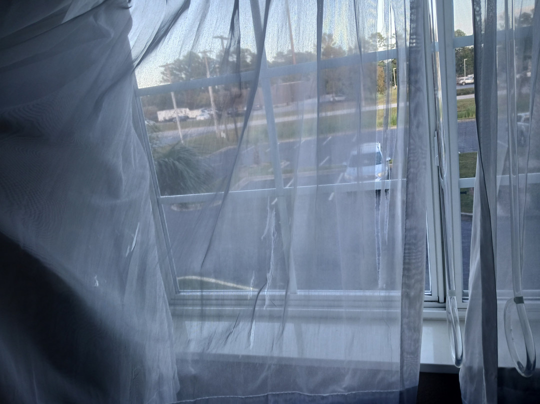 Microtel Inn & Suites by Wyndham Walterboro主图