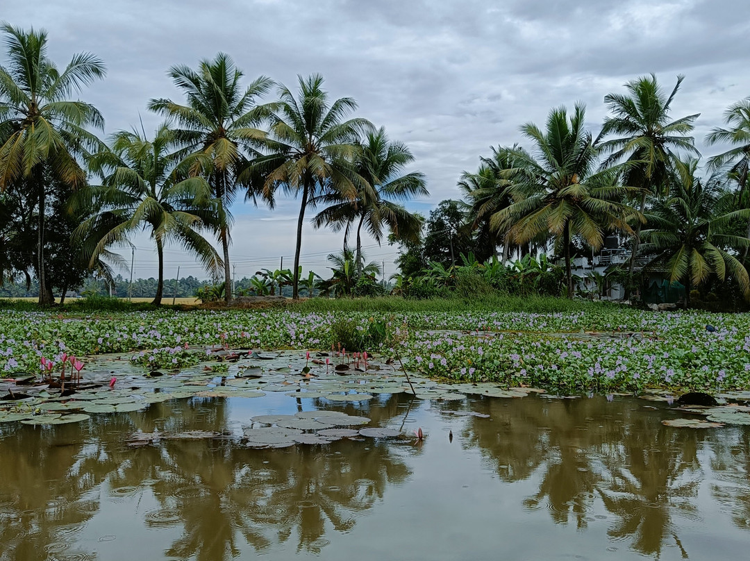 Wonderwerk Kitchen-科塔亚姆必去景点