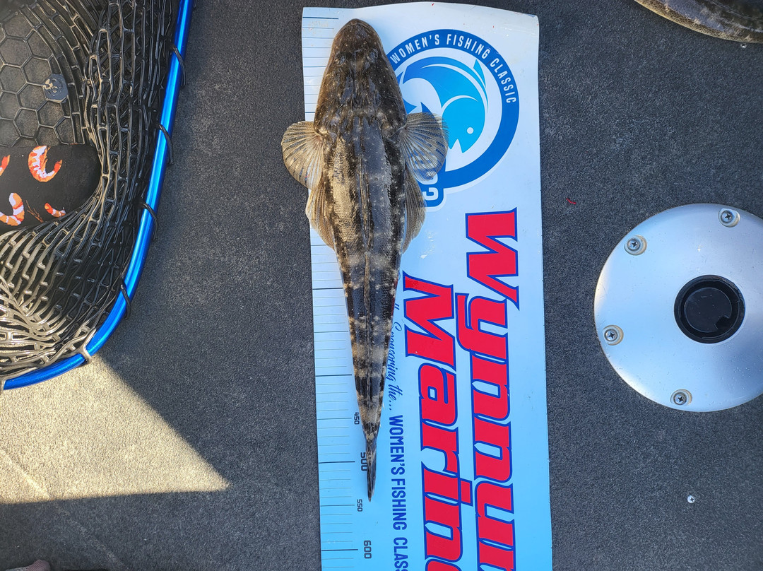 Capn’s Charters-黄金海岸必去景点