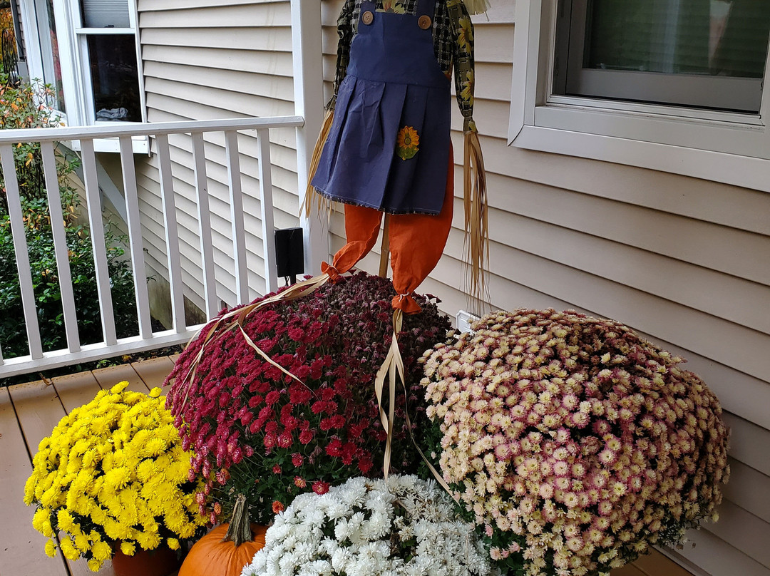 Black River Inn B&B主图