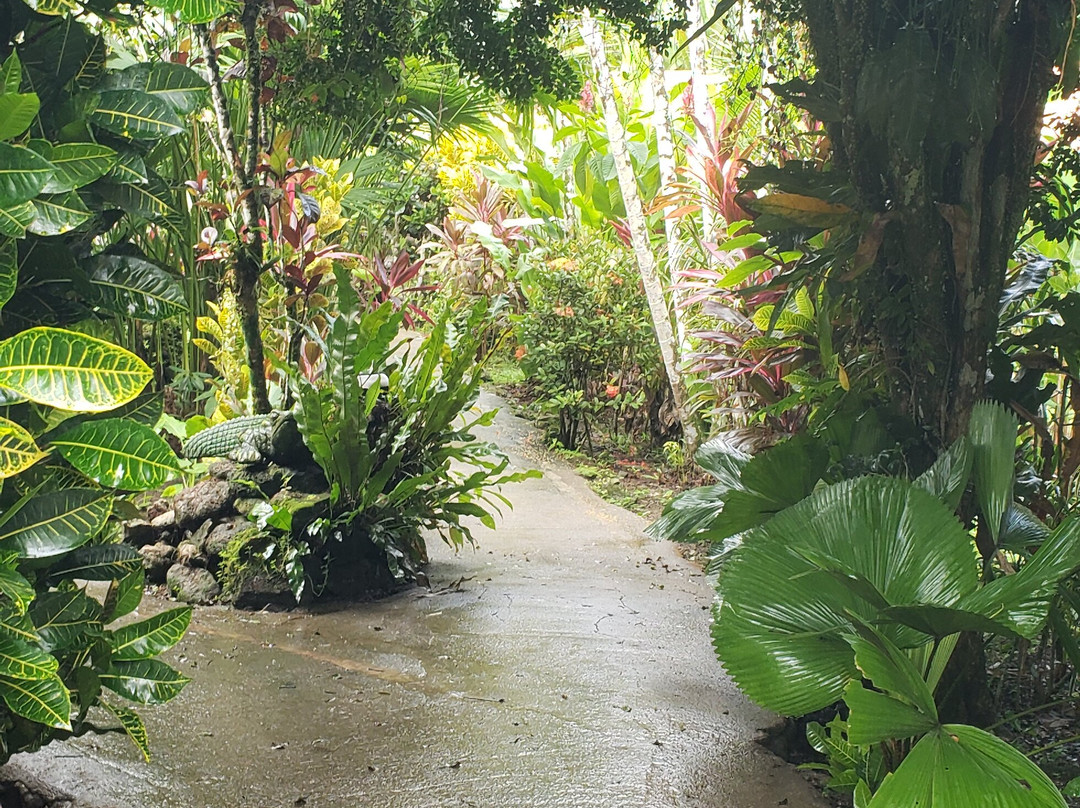 Atlantida Lodge主图