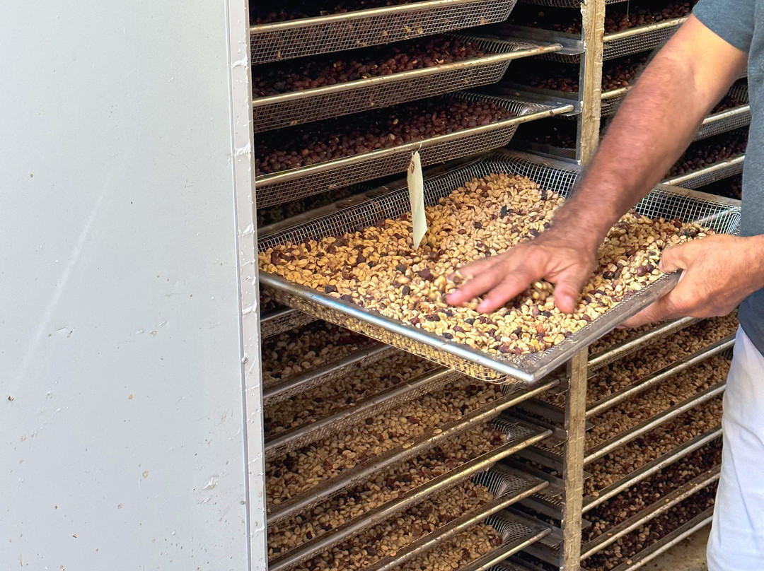 Sandra Farms Coffee-Adjuntas必去景点