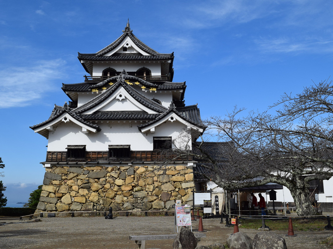 Hikone Castle Tenshu-彦根市必去景点