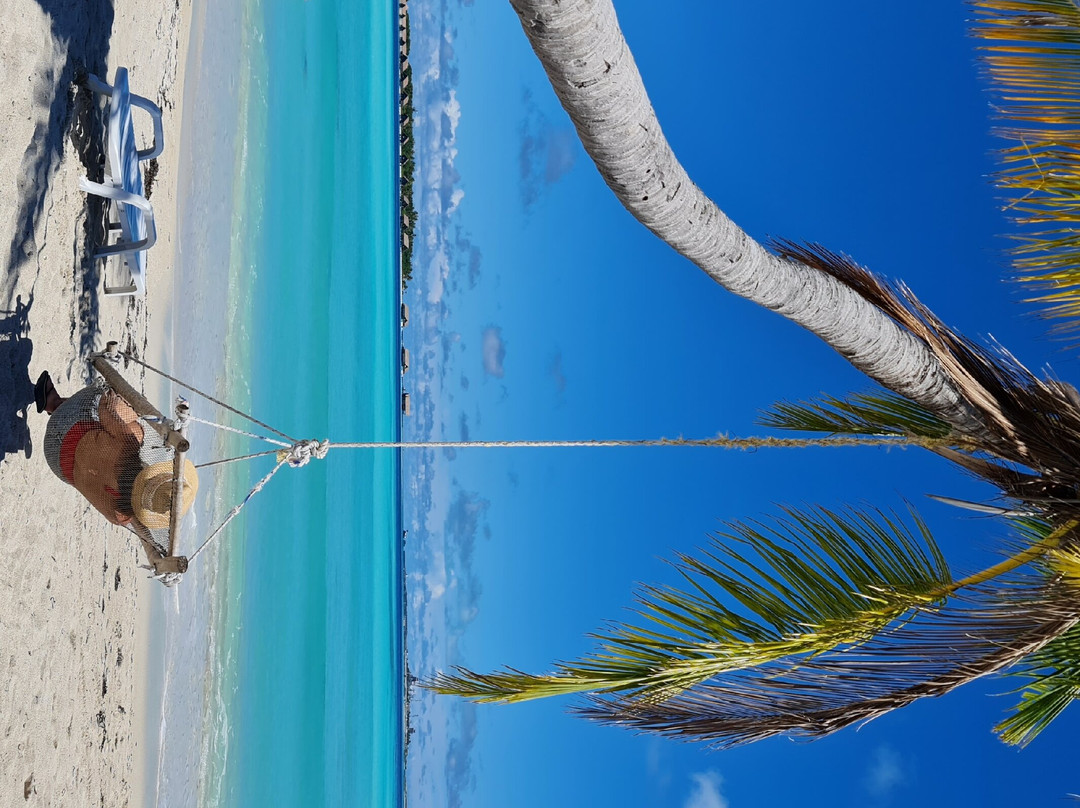 Seginy Seaview主图