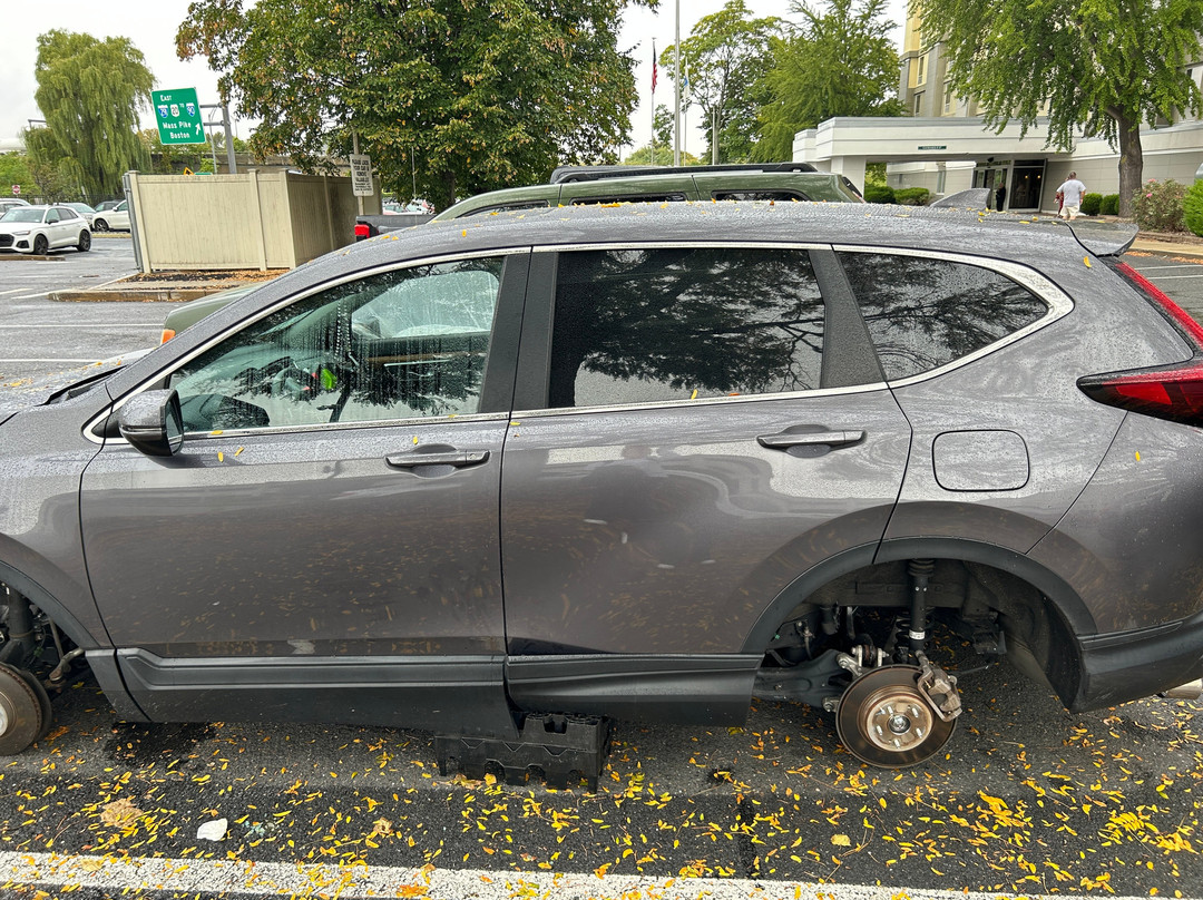 La Quinta Inn & Suites by Wyndham Springfield MA主图