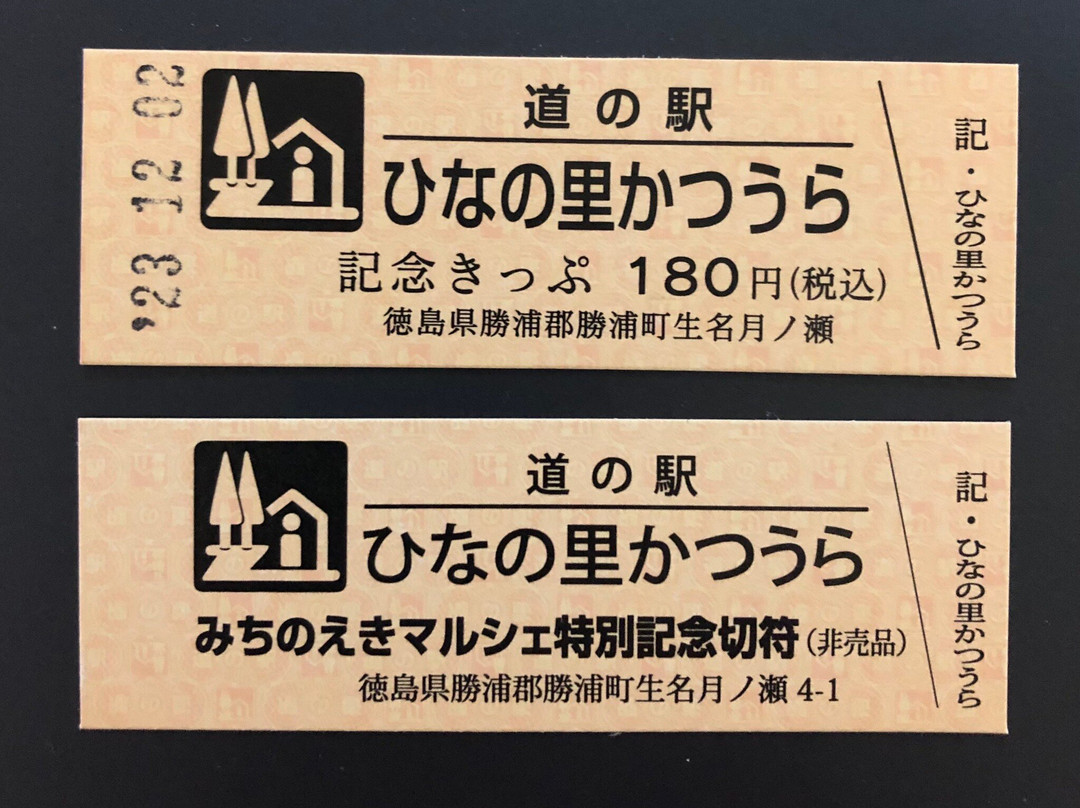 Michi-no-Eki Hina no Sato Katsuura-胜浦町必去景点