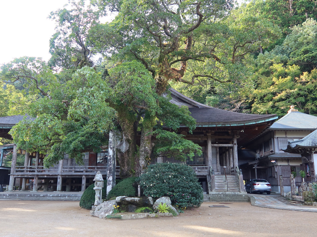 Nachisan Seigantoji Temple-那智胜浦町必去景点