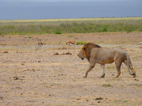 Shanrod Africa-坎帕拉必去景点