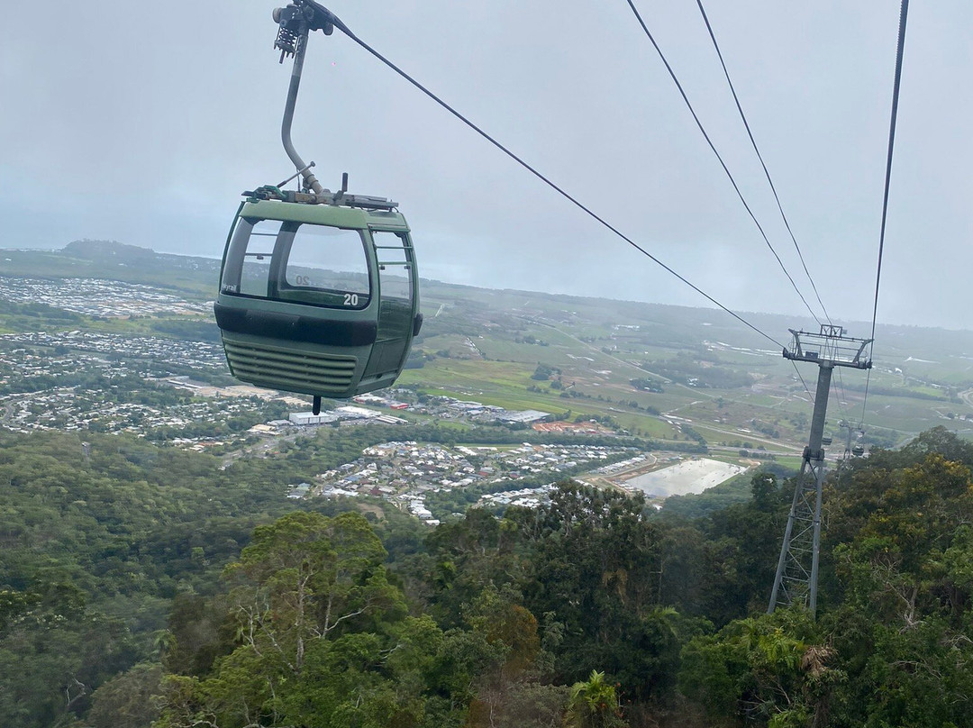Kuranda National Park景点图片