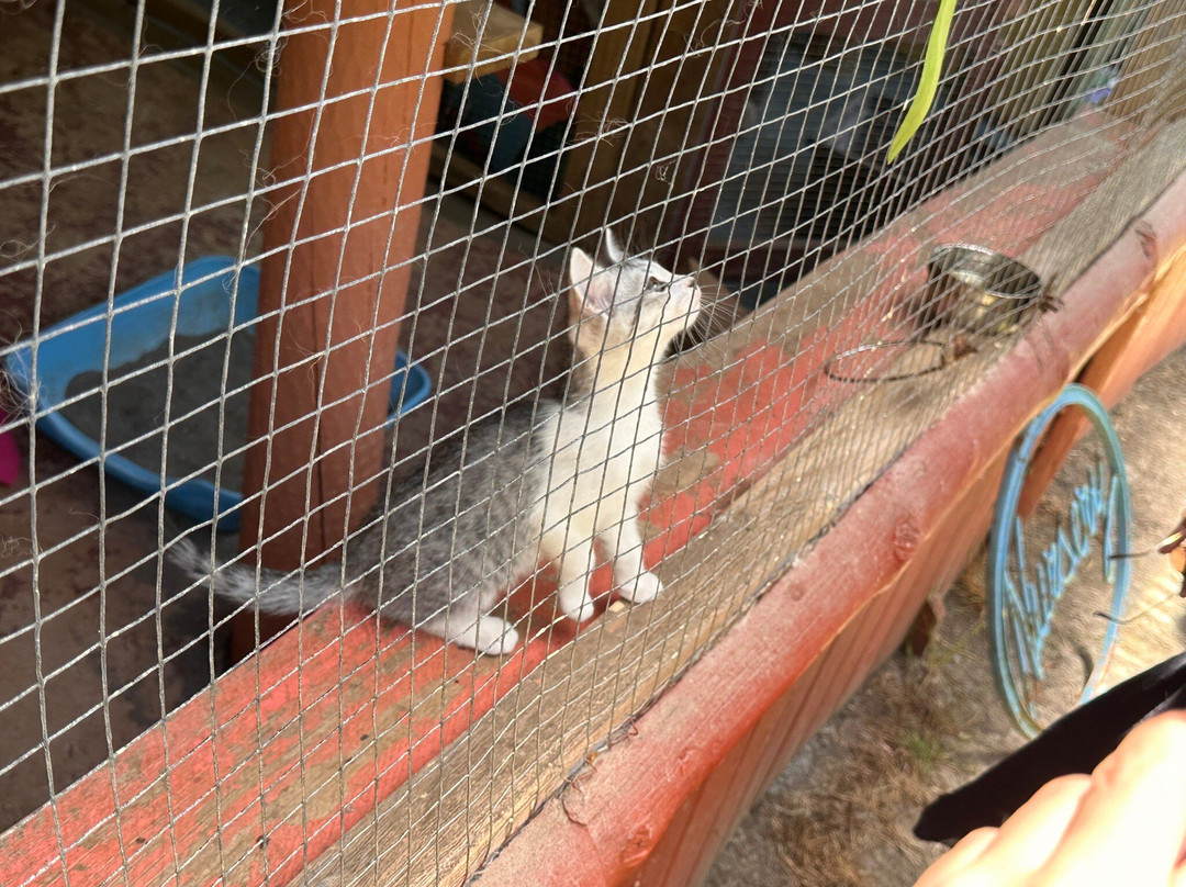 Whiti Farm Park景点图片