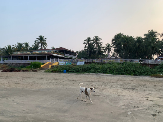 La Cabana Beach & Spa主图