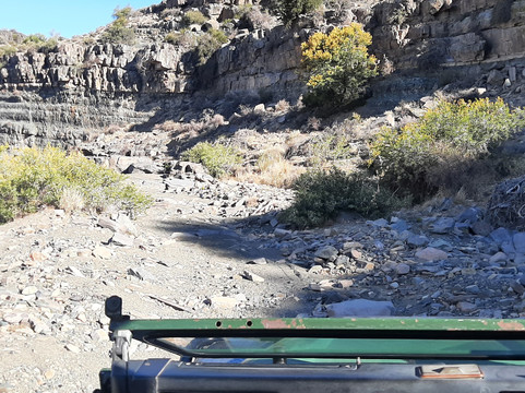 Roam Private Game Reserve主图