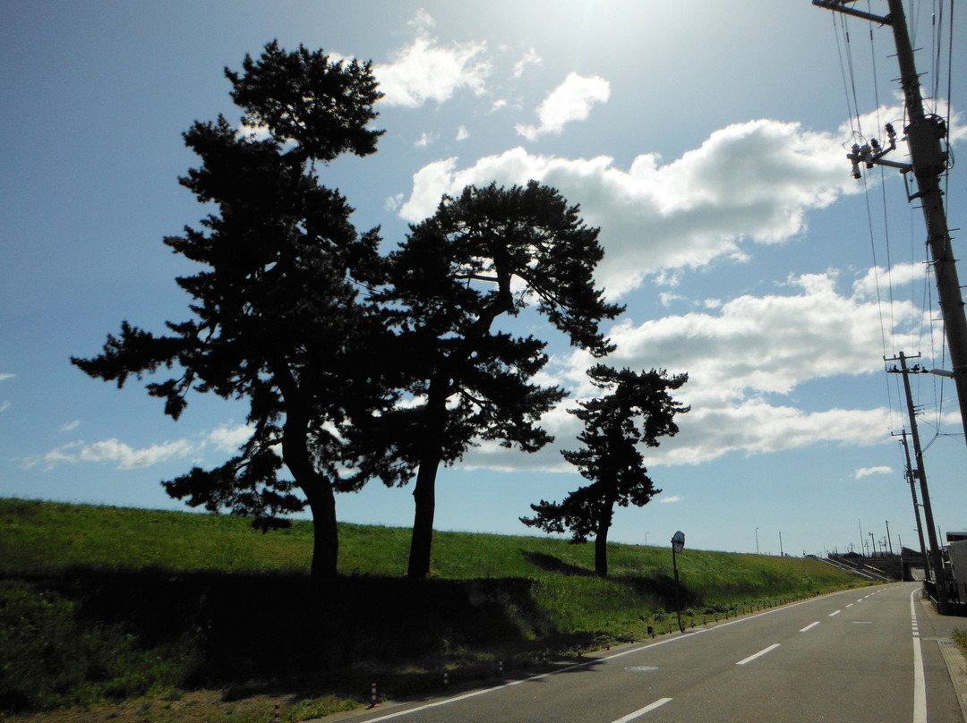 Andon Matsu-名取市必去景点