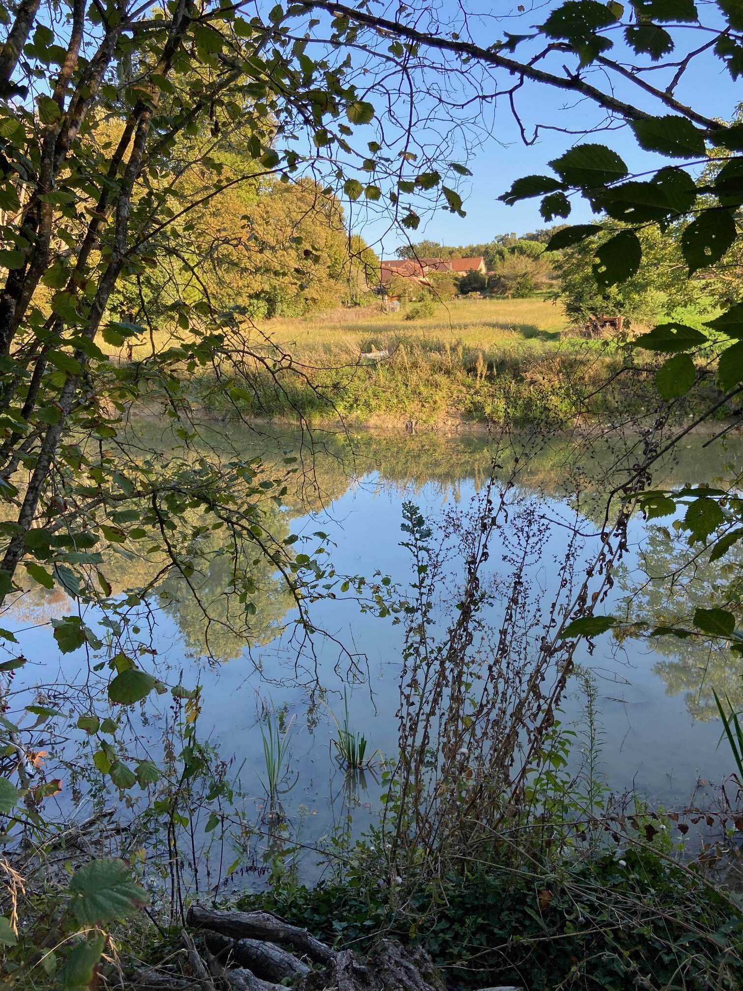 Manoir de la Blonnerie-官方