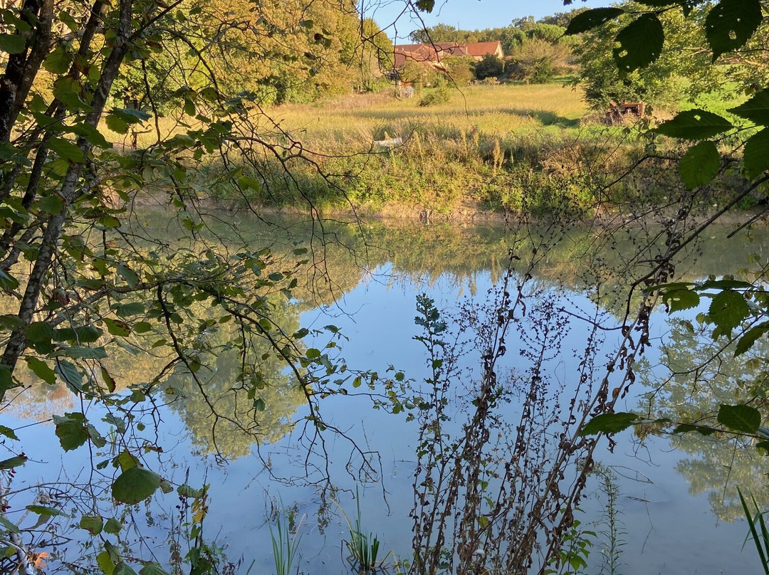 Manoir de la Blonnerie主图